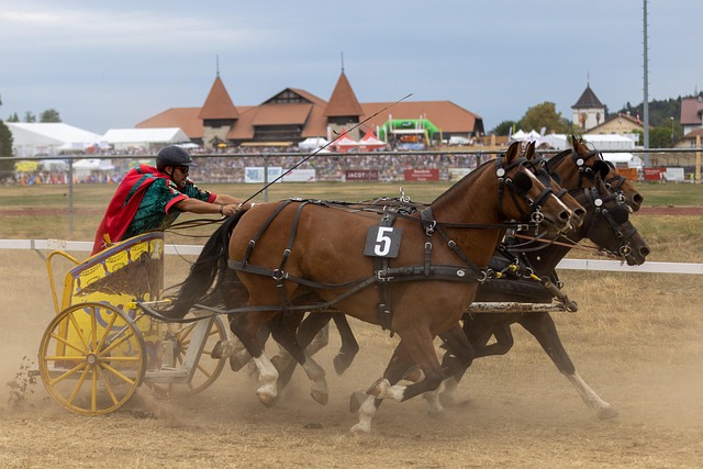 会市场的需 会市场的需