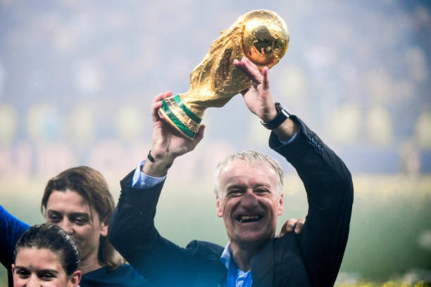 这一选择引 这一选择引